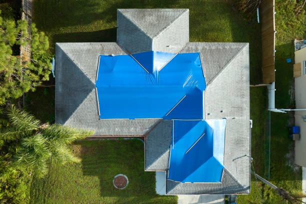 Best Asphalt Shingle Roofing  in Minneola, FL