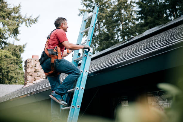 Steel Roofing in Minneola, FL